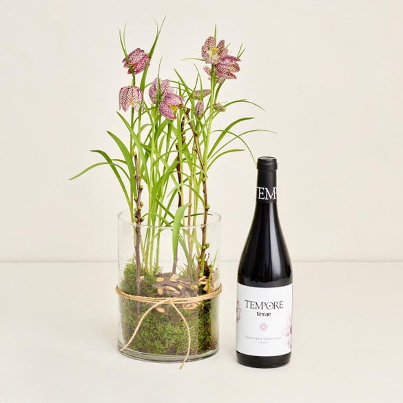 Vibeæg i glaspotte med Terrae Rødvin